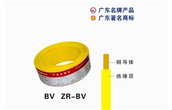 60227 IEC 01（BV）大发88电缆