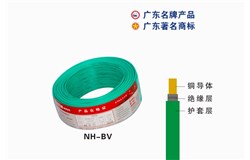 NH-BV大发88电缆
