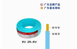 RV ZR-RV大发88电缆