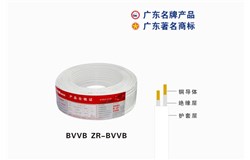 BVVB ZR-BVVB大发88电缆